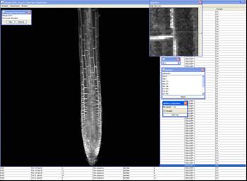 Image showing PlantVis tool